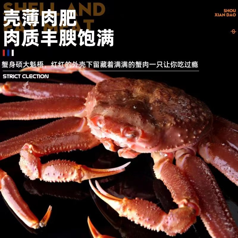 冰鲜松叶蟹  长脚蟹 板蟹帝王蟹新鲜青蟹深海饱满鲜嫩肉质