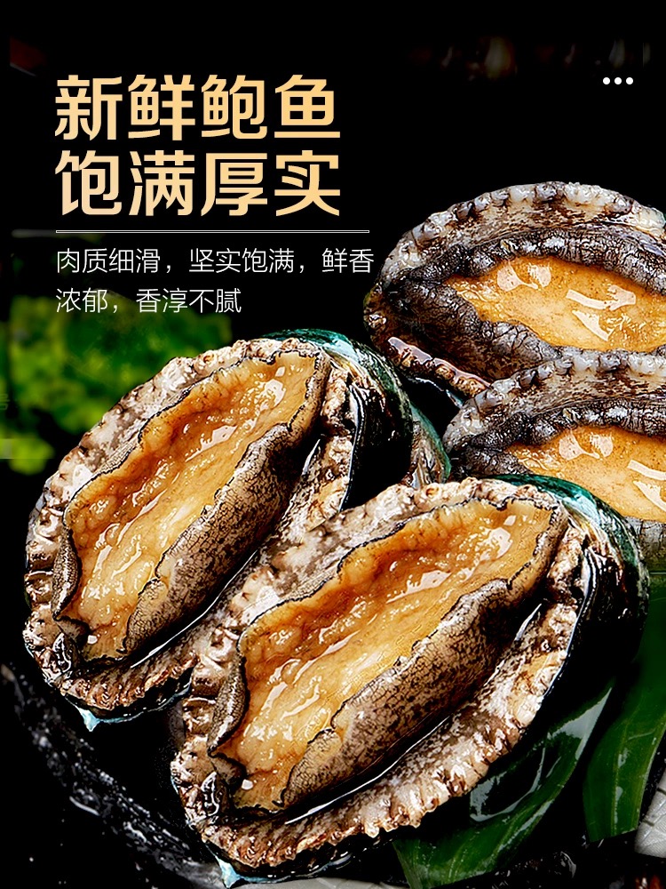 冻星空鲍1斤