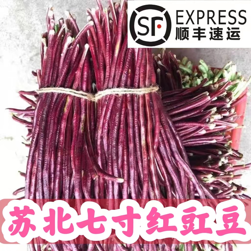 东台琴姐农家自种新鲜红豇豆现摘速发