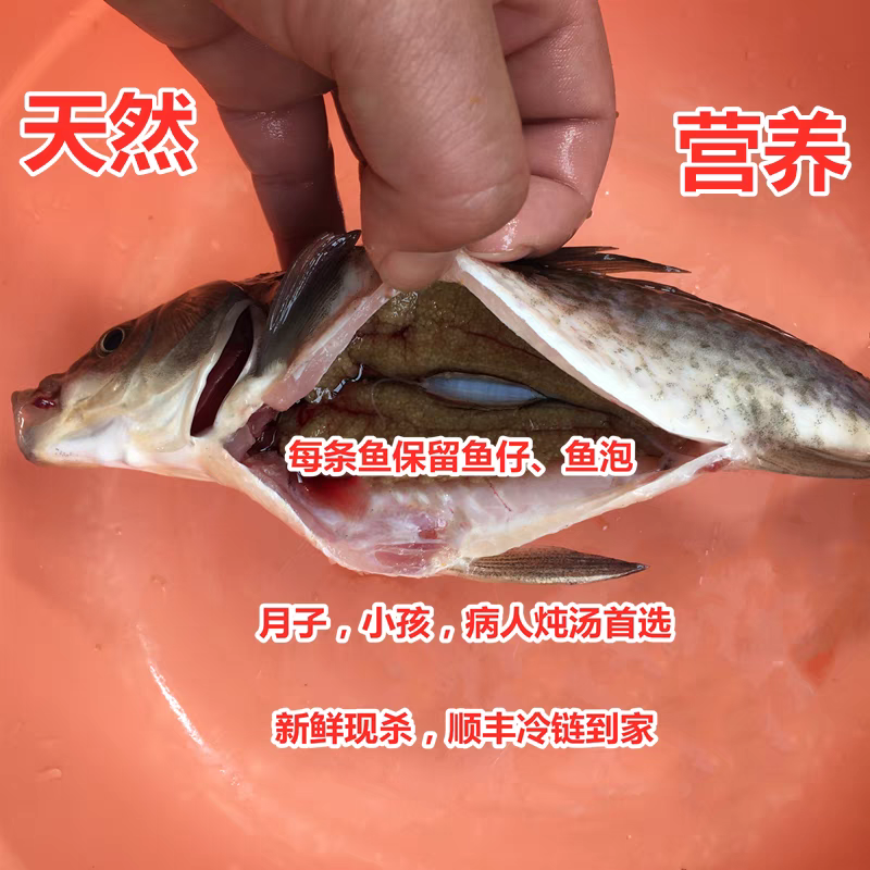 【东台琴姐甄选】正宗淡水鱼鲜活新鲜现杀小杂鱼