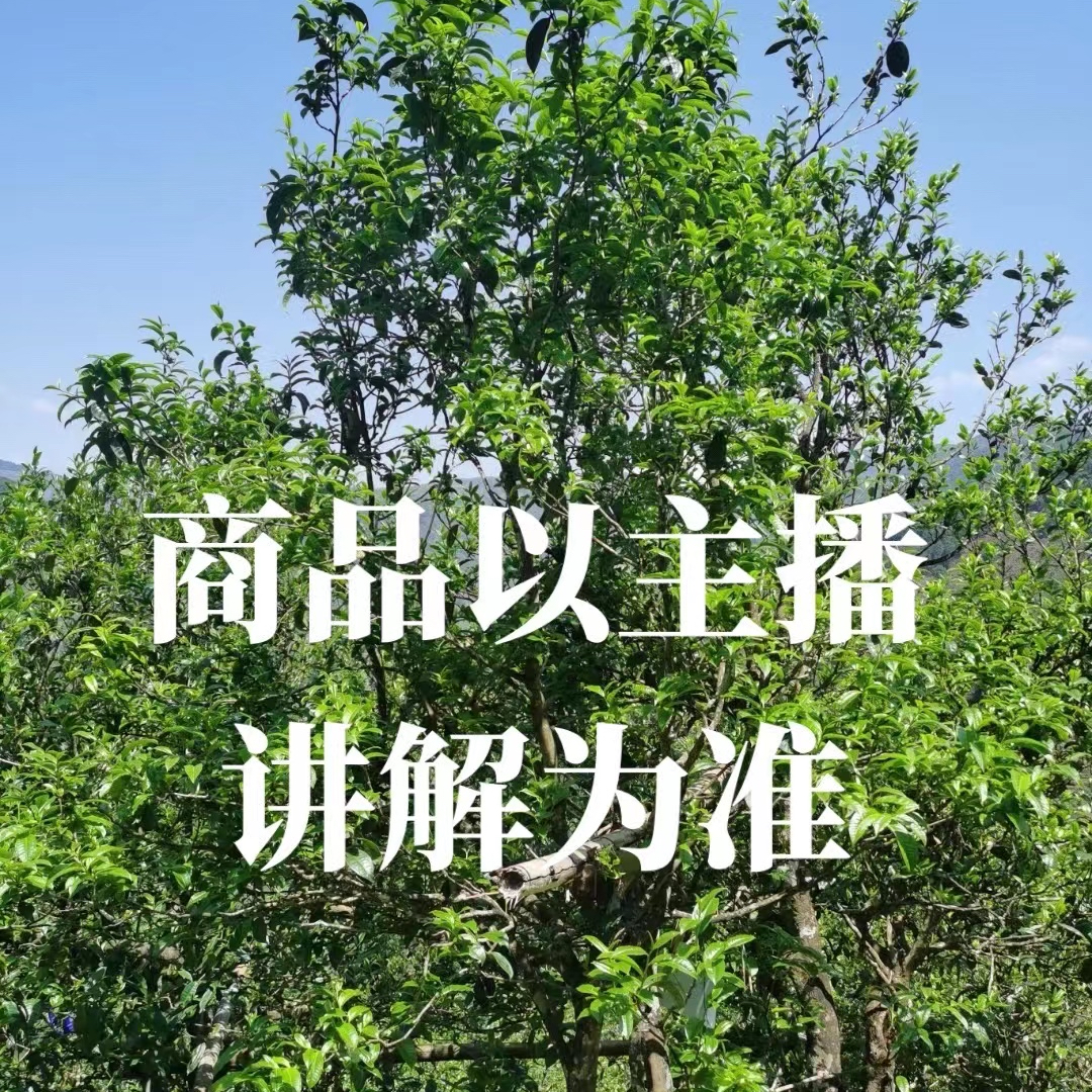 【云山游茶叶】开门红小礼包