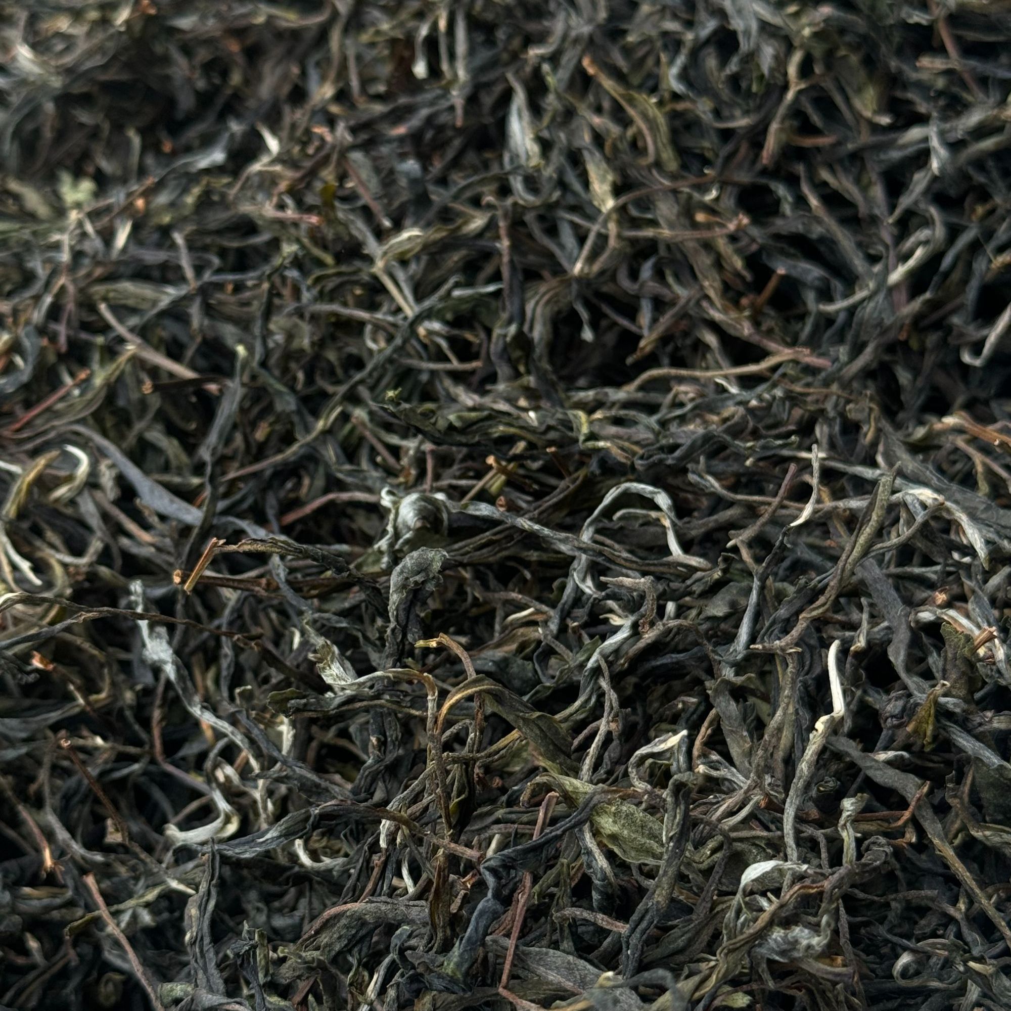 （雲山游）普洱茶摇摇乐19