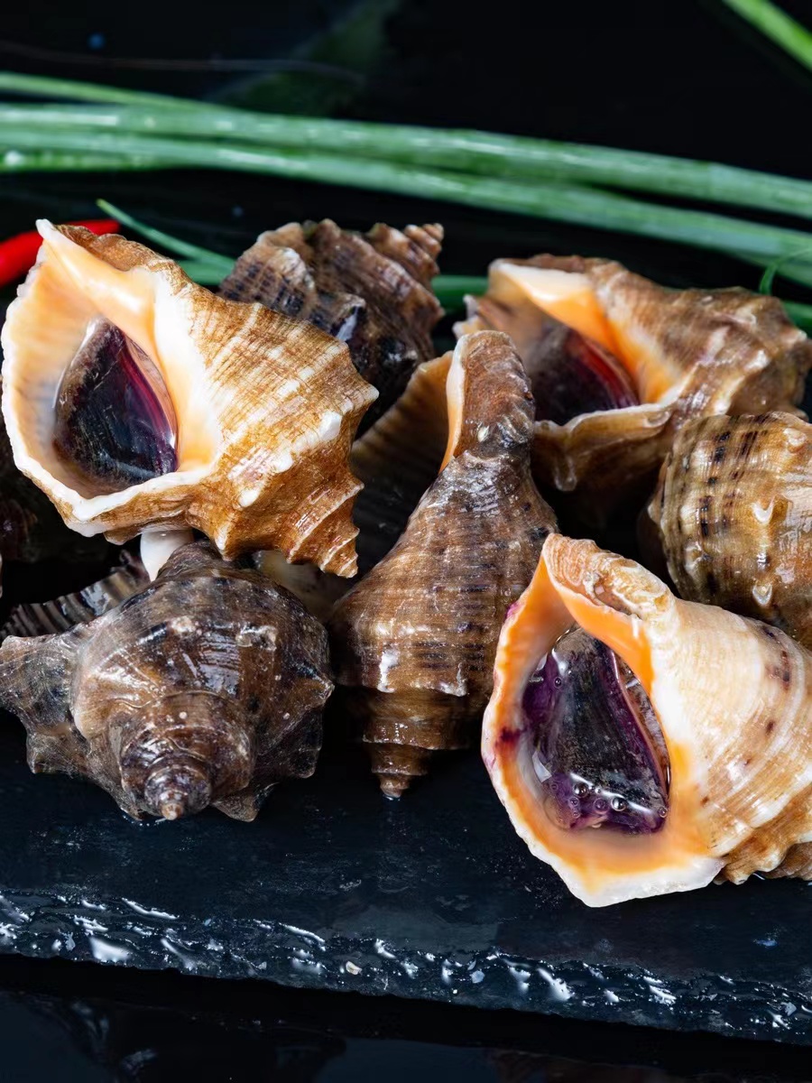 连云港发货 鲜活海捕海螺有黄有肉 (一斤6个左右)三斤装