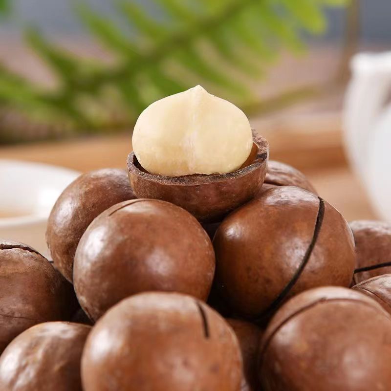 【二斤精选】大颗粒夏威夷果奶油味罐装酥脆坚果干果9g休闲零食批