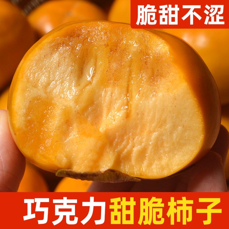 巧克力脆柿子5斤 脆甜柿子纯甜农家新鲜无核水果冰糖心阳丰脆柿