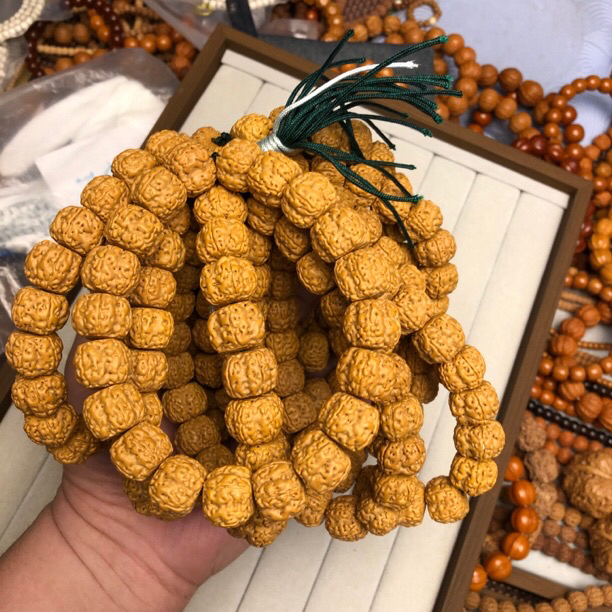 直播专享aaa 龙切盘龙手持12-14mm金刚菩提小金刚单圈