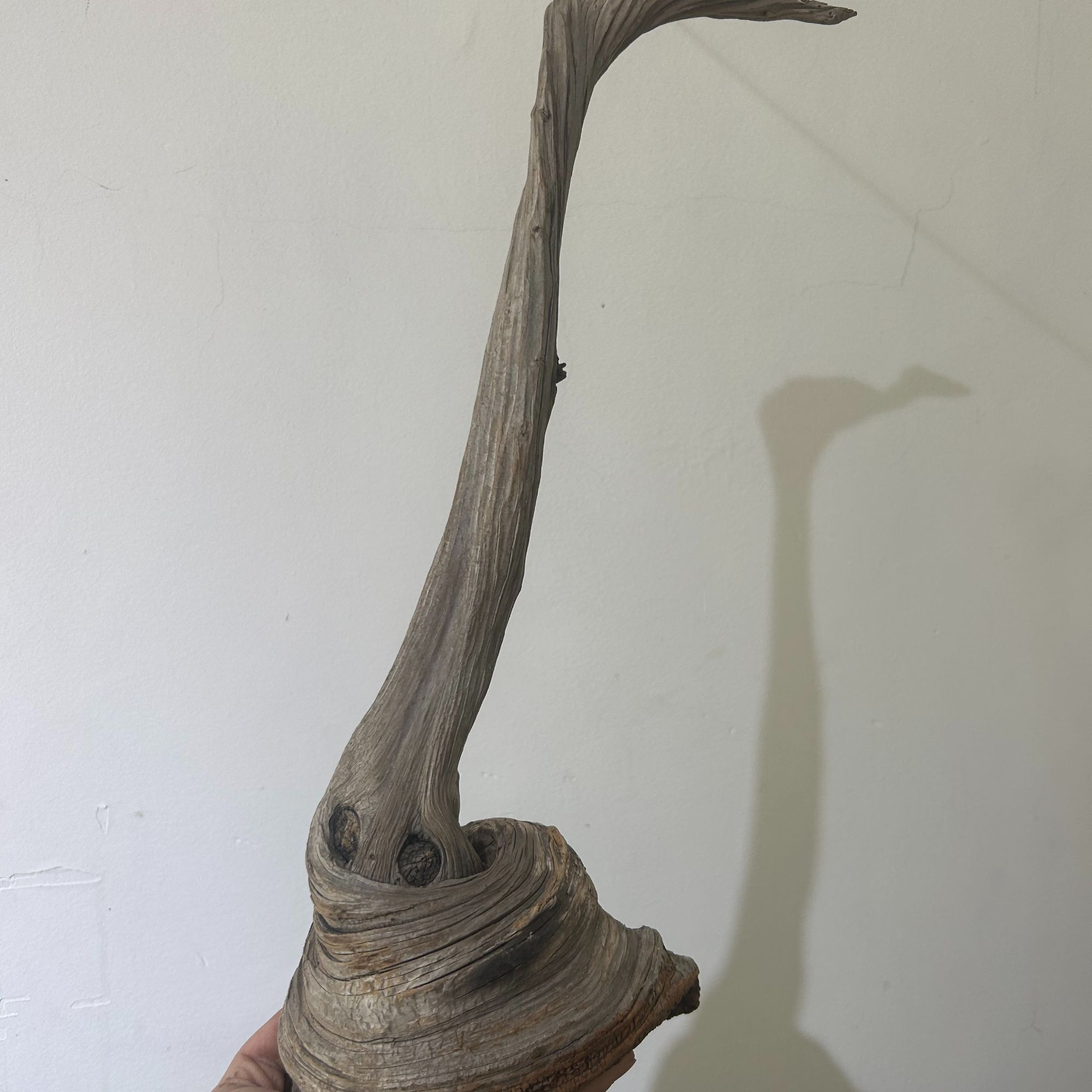 摆件专拍 精品 下单截图记录