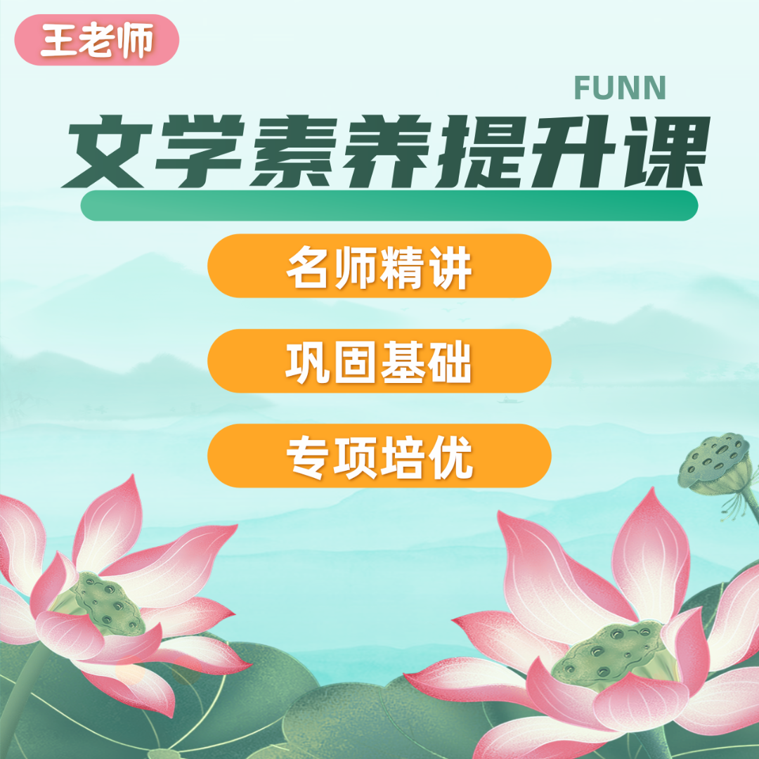 王老师-文学素养提升课程