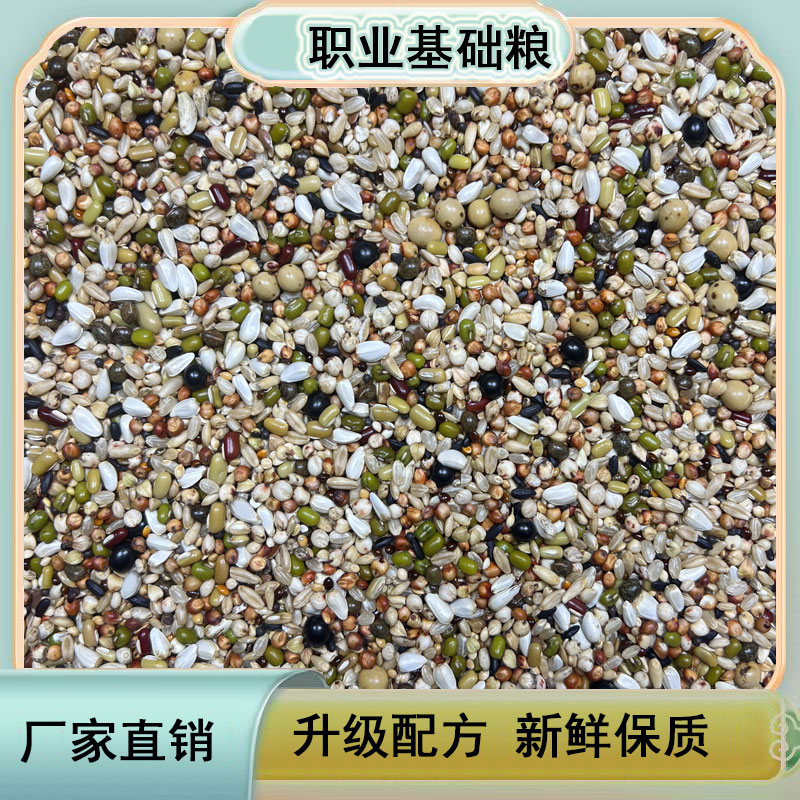 龙领鸽粮  职业基础粮10/50斤信鸽赛鸽肉鸽观赏鸽饲料小颗粒包邮
