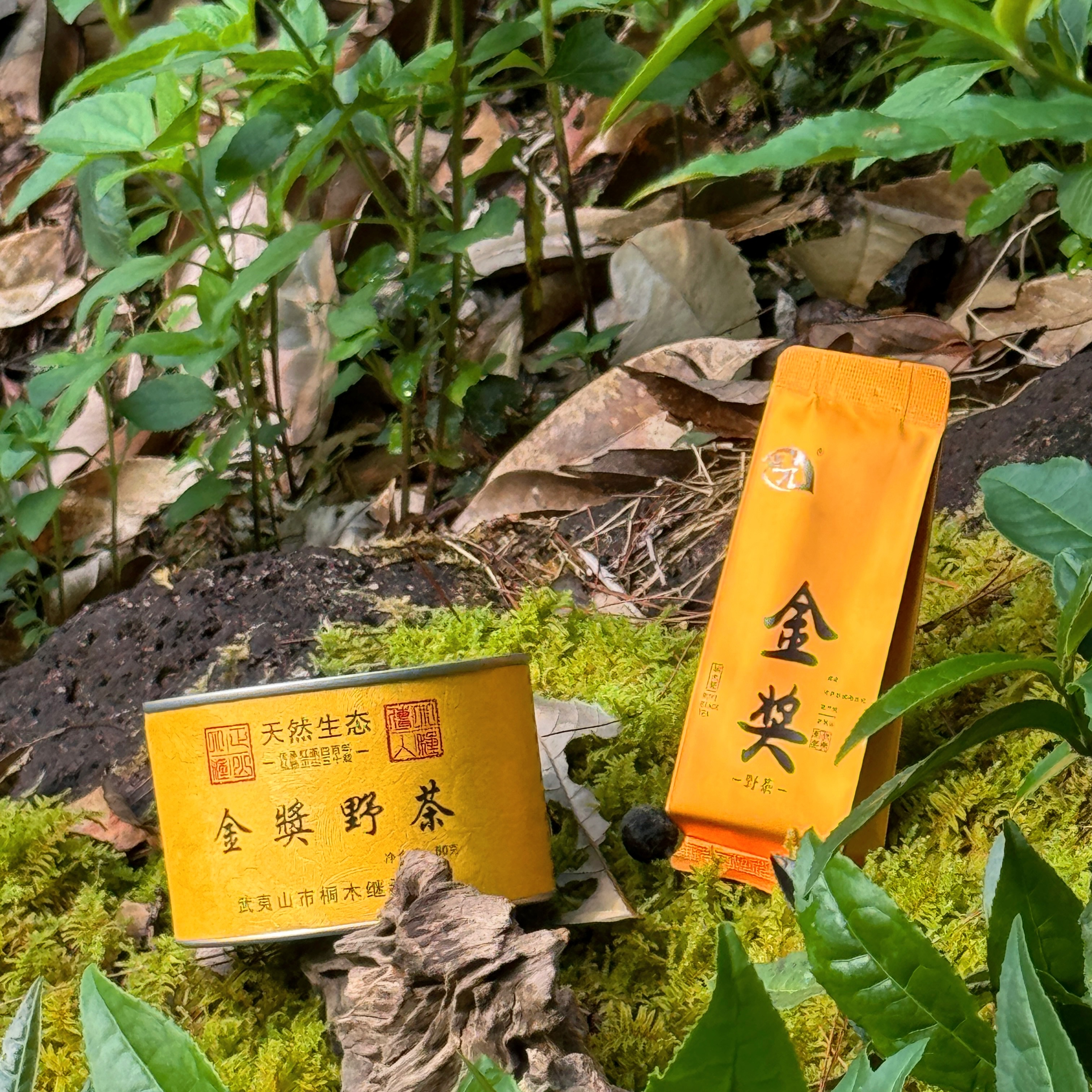 【继元】金奖野茶红茶·武夷山桐木关原生红茶正山小种原产红茶叶50g