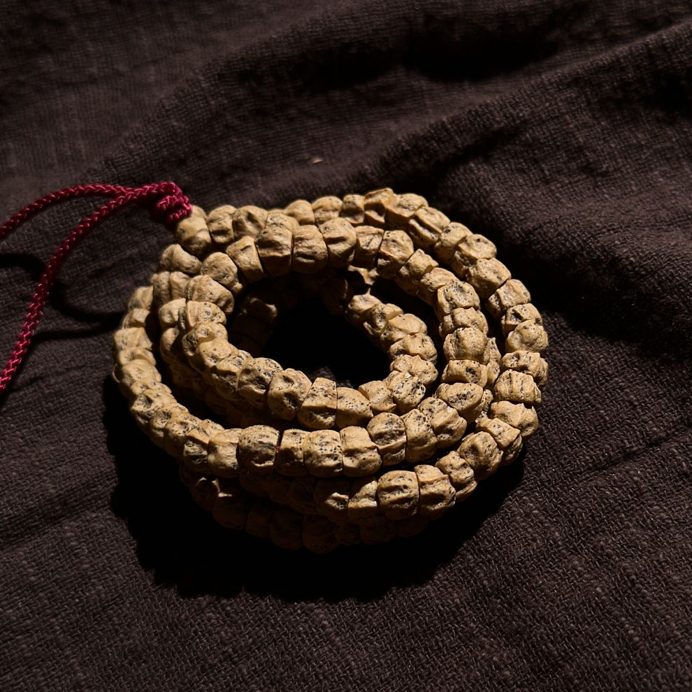 千斤（大肠）热振柏香籽 斜切顺纹鬼脸肠