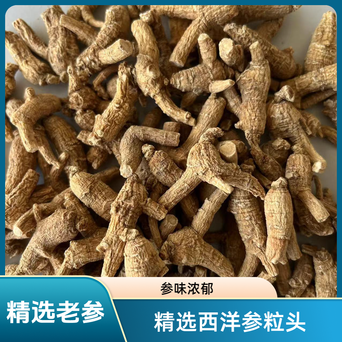 西洋参整根整粒食用参味浓郁精选参营养滋补品花旗参