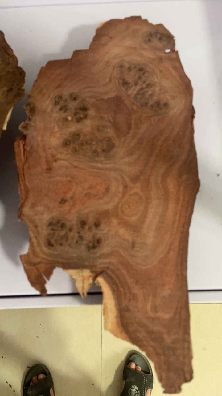 各种木料以直播间截图为准原木