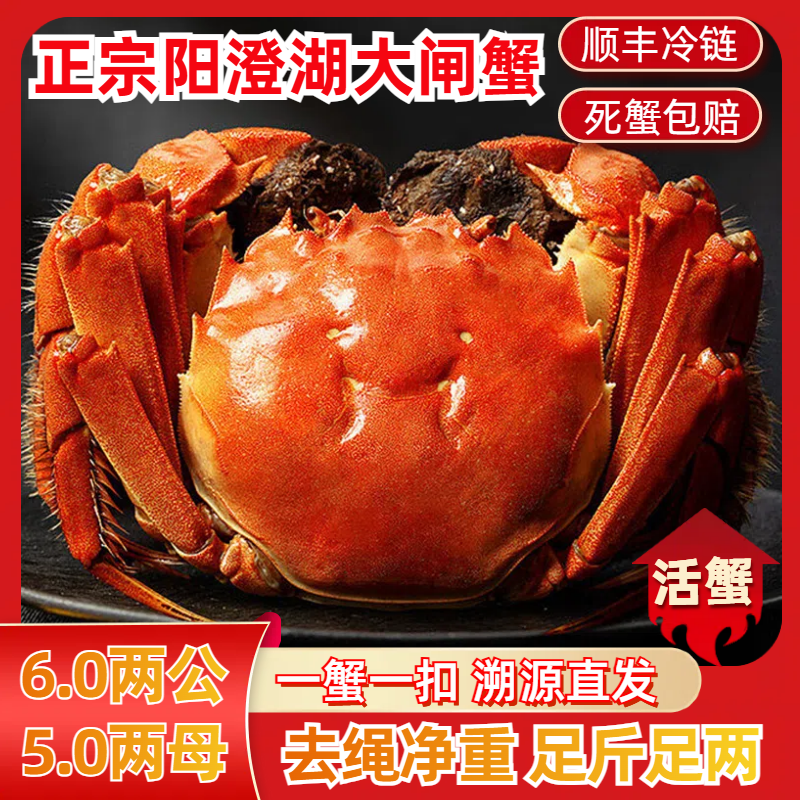 【阳澄湖大闸蟹】活蟹6.0两公蟹5.0两母蟹4对8只苏丰韵螃蟹礼盒塘养