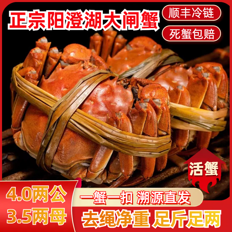【阳澄湖大闸蟹】4.0两公蟹3.5两母蟹4对8只 苏丰韵塘养螃蟹礼盒装