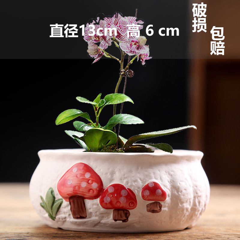 单个中号蘑菇拼盘（植物不带）口13CM 高6CM