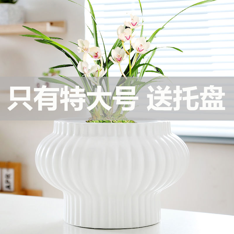 花盆陶瓷特大号家用带托盘个性家用蝴蝶兰多肉花盆种树大口径花盆