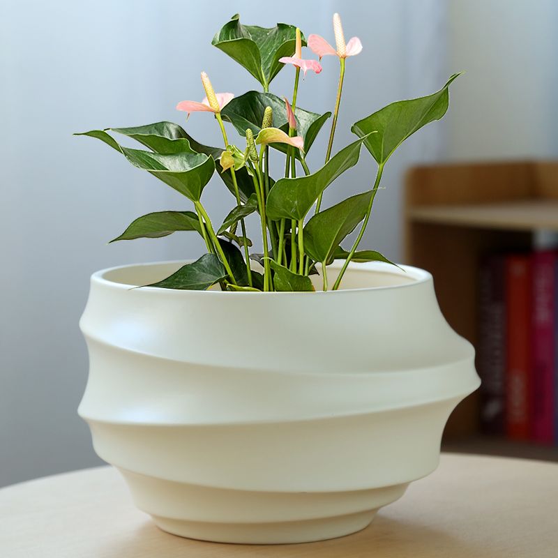 花盆陶瓷清仓捡漏特大号北欧个性创意花盆发财树兰花蝴蝶兰专用盆