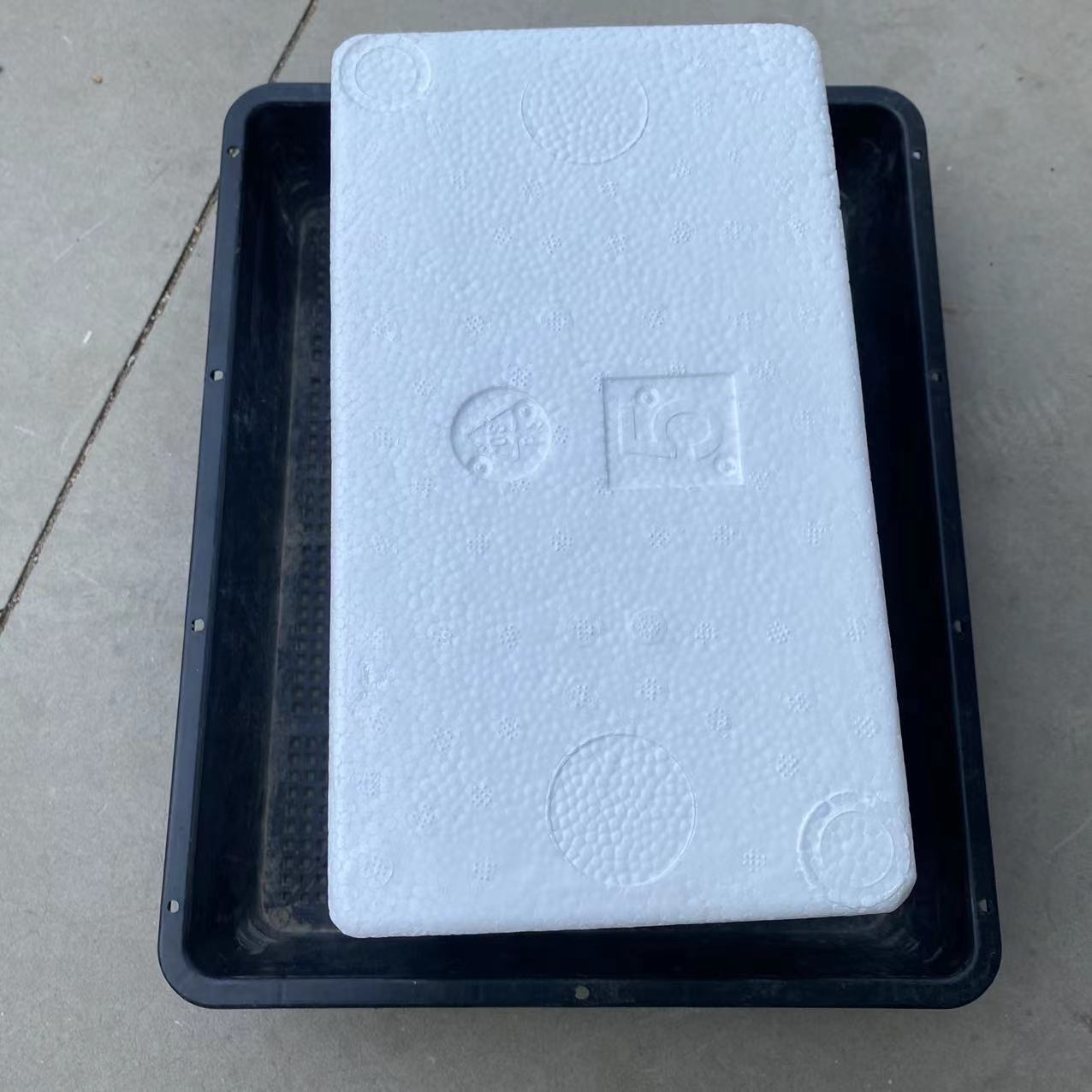 保温箱 玉露多肉植物十二卷