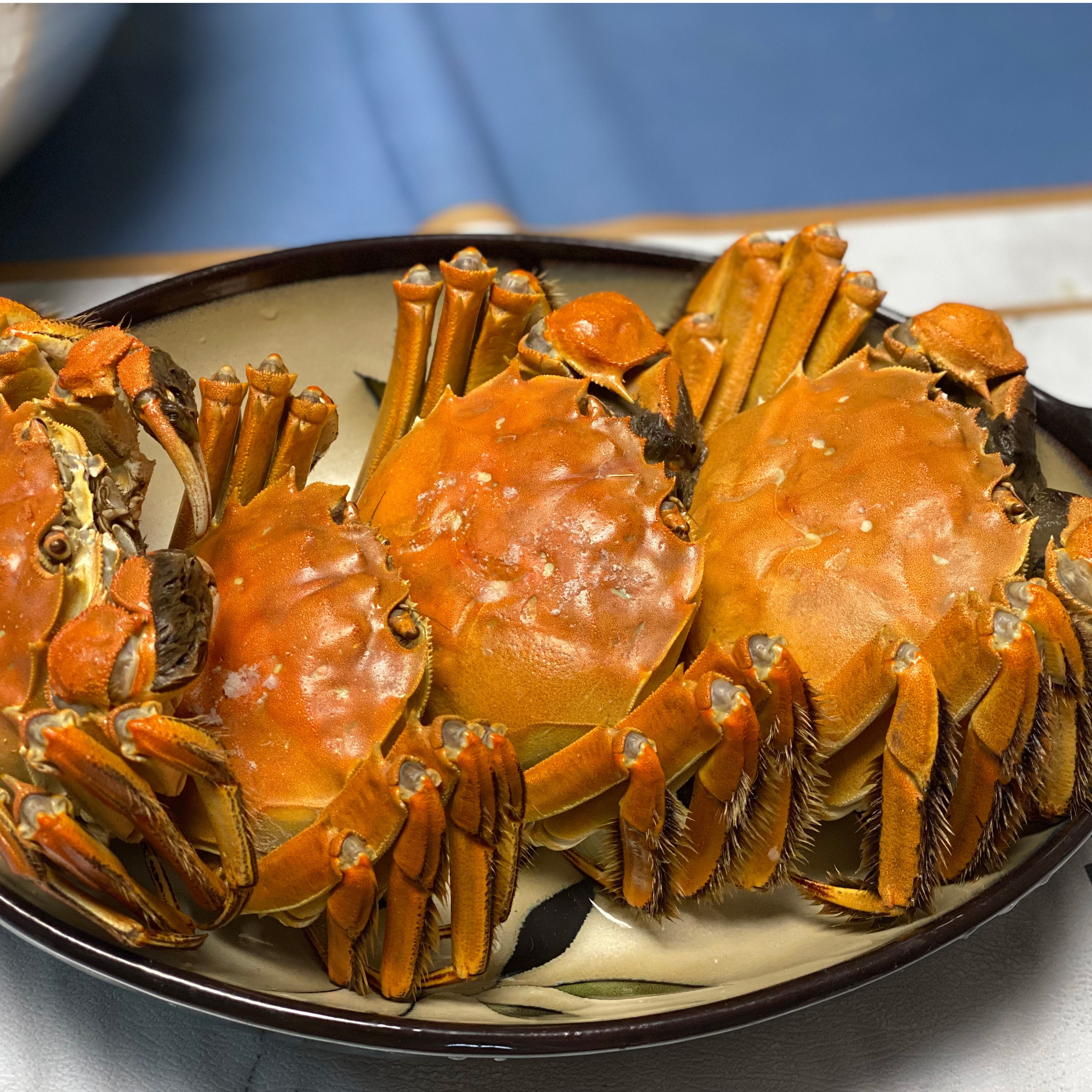 【活蟹】天津七里海大闸蟹 公5.3-5.6两 母4-4.3两 6只装 K