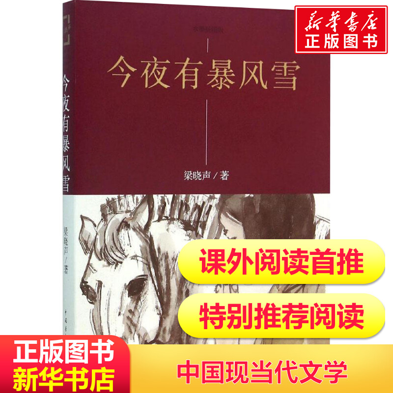 今夜有暴风雪梁晓声知青小说故事中小学生课外推荐阅读现