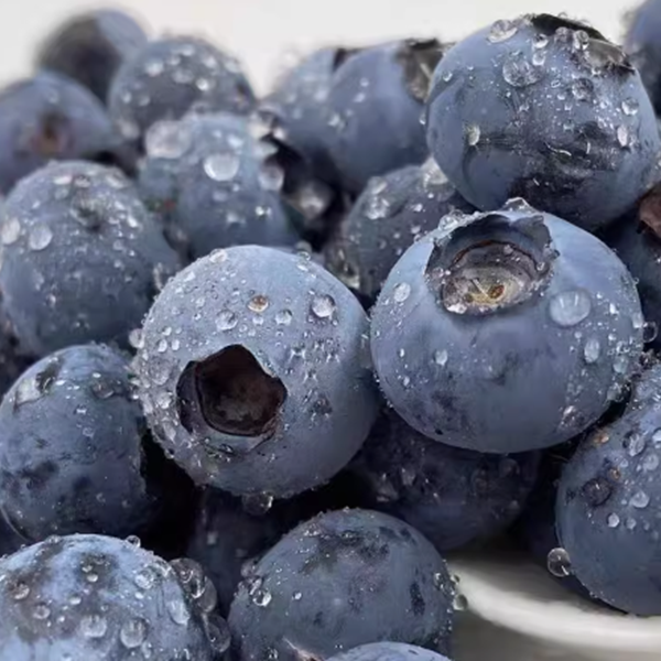 【只发新疆】18-15+ 净重400g 云南空运蓝莓 新鲜采摘