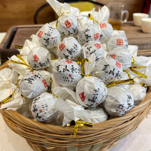 2023年荒山秘境龙株茶