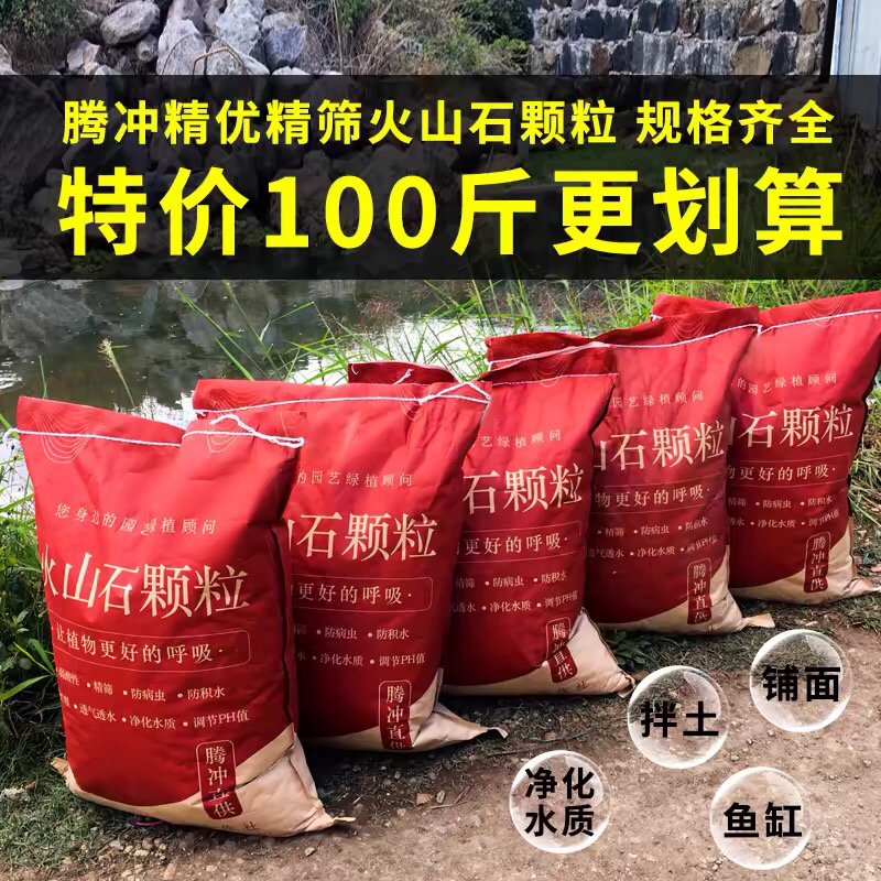 【云南腾冲优质天然火山石颗粒】多肉兰花鲜花直播间现场直播卖花
