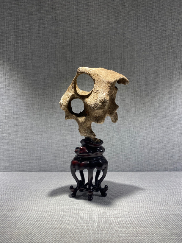 太湖石，直播间链接，勿拍