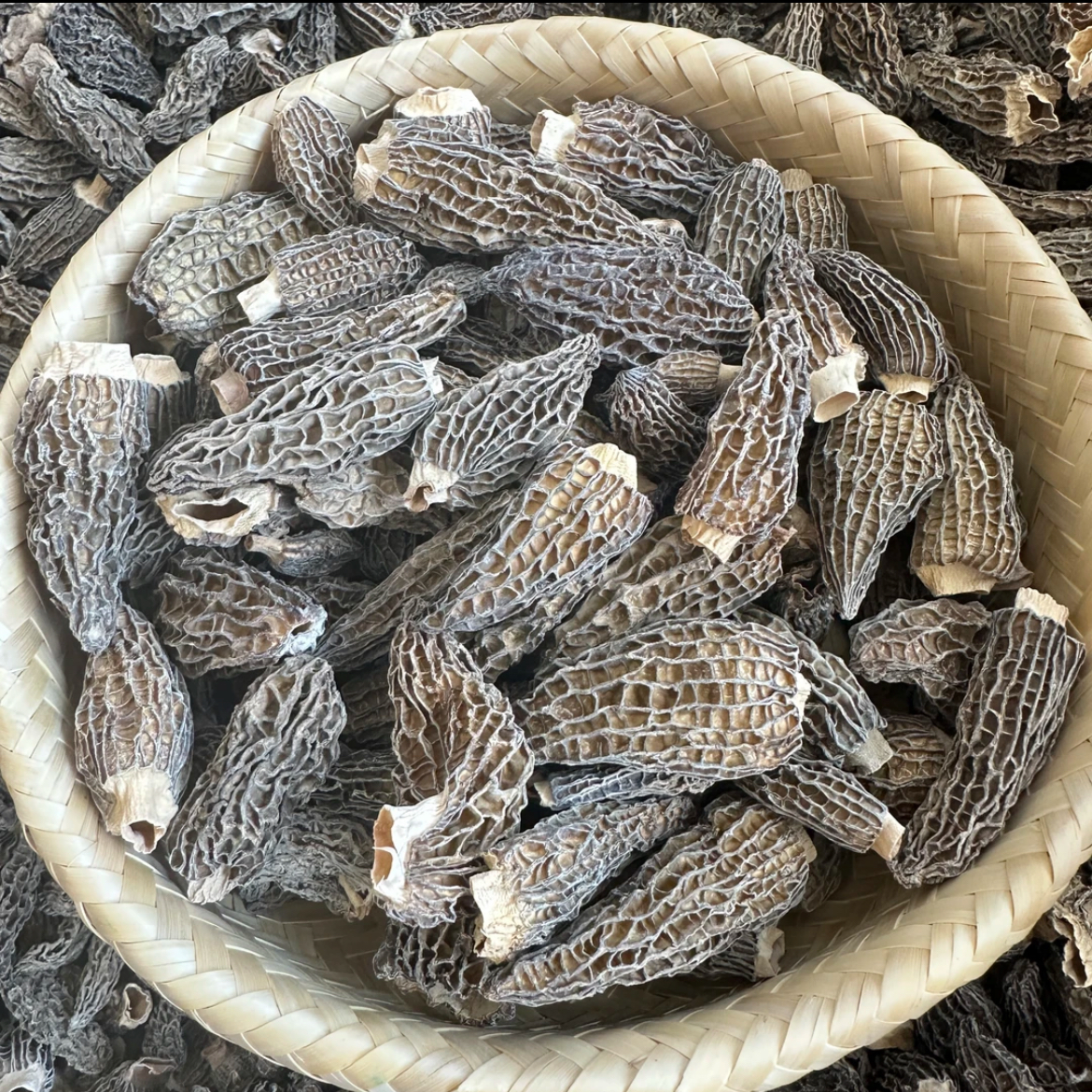 【诚信阿飞】代收羊肚菌