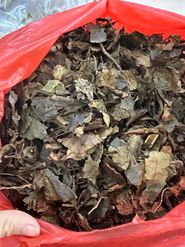 九节茶 肿节风 500克 草珊瑚中药材