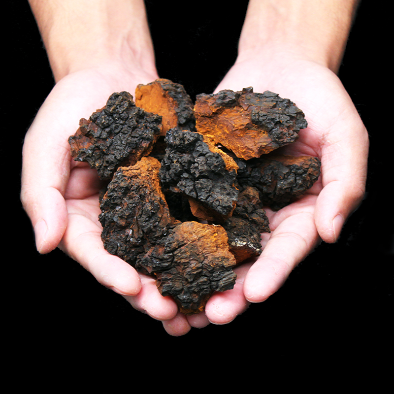 直播严选【黑晶黑皮切块】俄罗斯野生桦树茸带黑金精品手工采摘500g