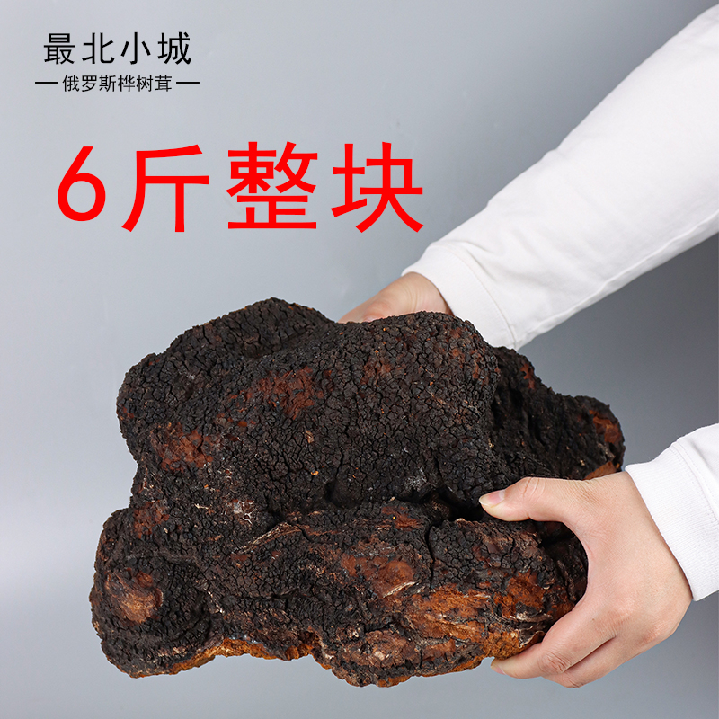【6斤整块】甄选俄罗斯野生桦树茸带黑金精品桦褐孔菌3000g手工采摘