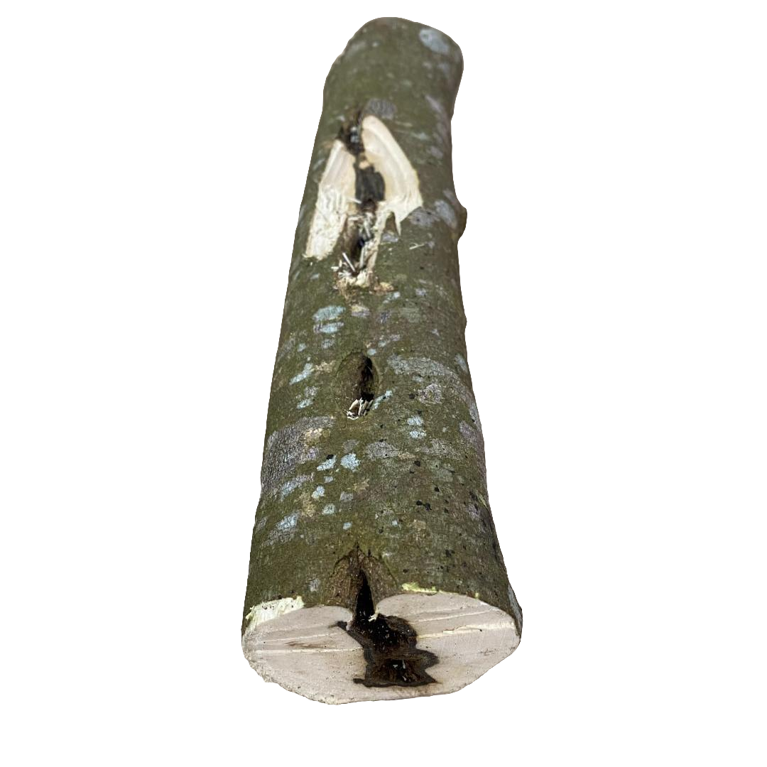 沉香原木定制多样性发1