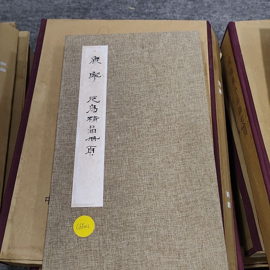 【闪购商品】绘画康宁