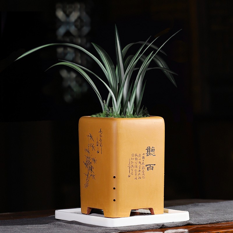 蔓木人宜兴紫砂花盆兰花盆四方精品手工刻绘桌面盆景盆绿植古典