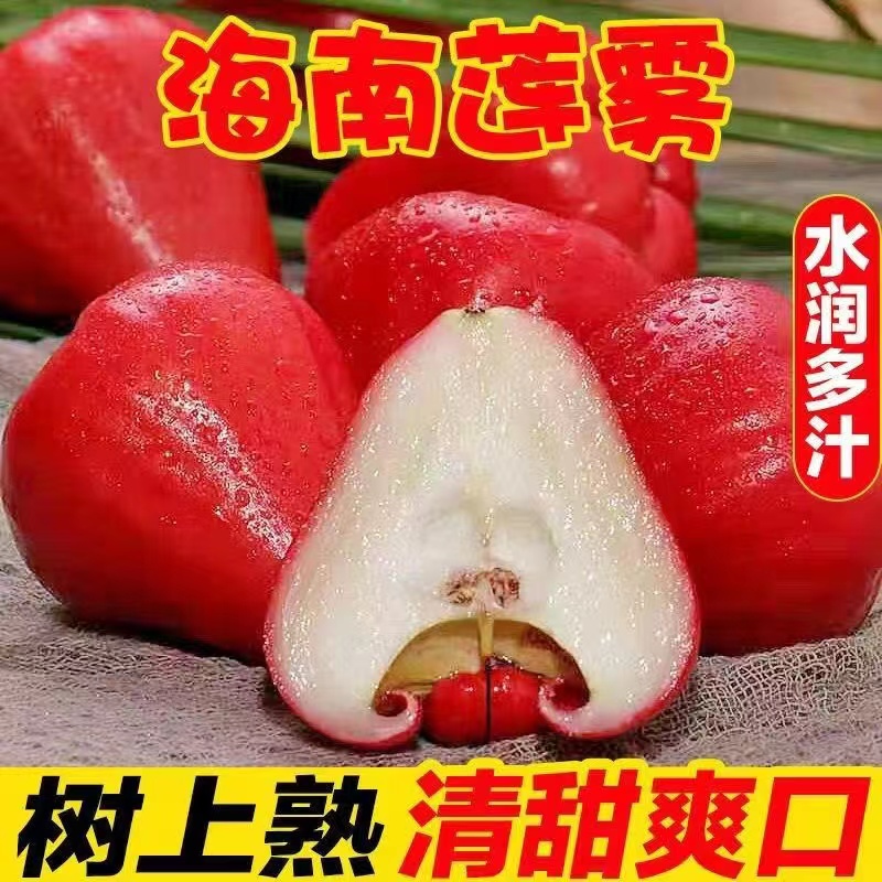 红宝石莲雾水果当季现发新鲜1-5斤大果雾莲黑金刚连雾果整箱包邮