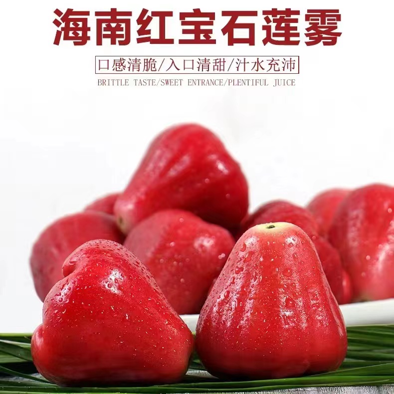 莲雾红宝石新鲜水果1-5斤莲雾果热带莲雾当季孕妇水果整箱包邮