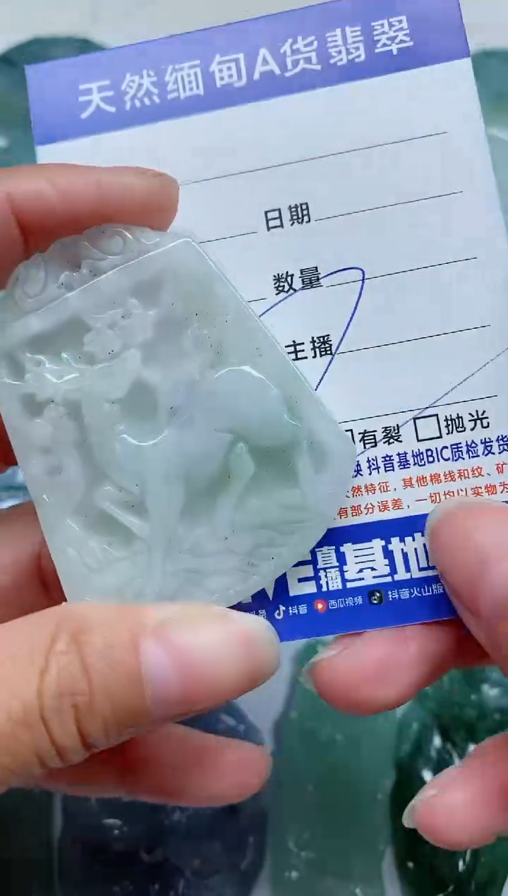 【闪购商品】翡翠颈饰未镶嵌A11