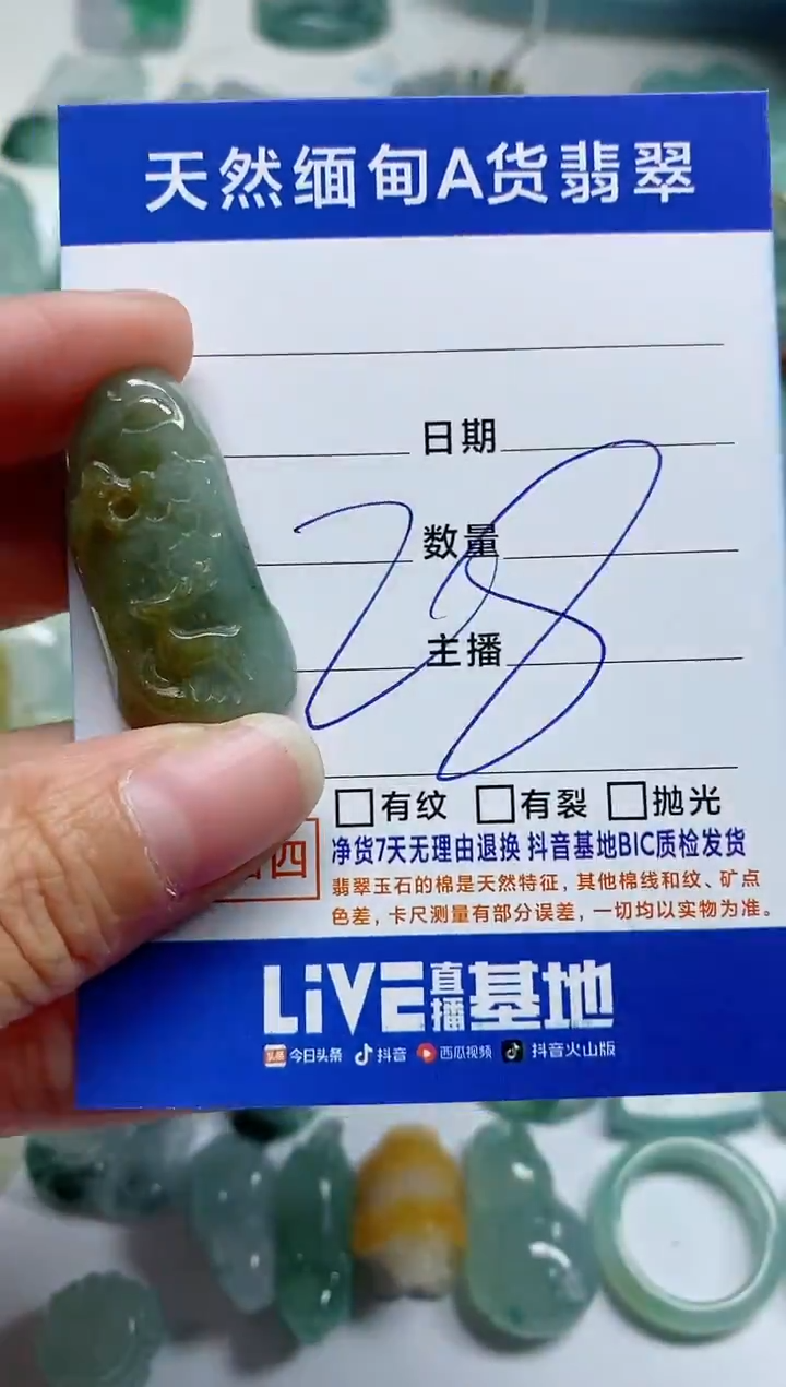【闪购商品】翡翠颈饰未镶嵌A09