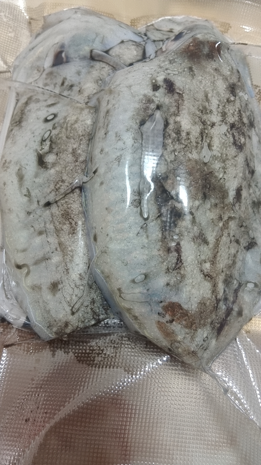 北海虾船捕捉新鲜墨鱼5斤