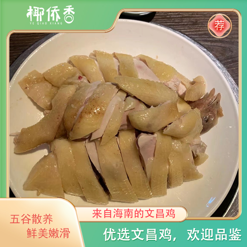 椰侨香海南正宗农家散养新鲜跑地文昌椰子鸡经典冷冻饲养保鲜肉质