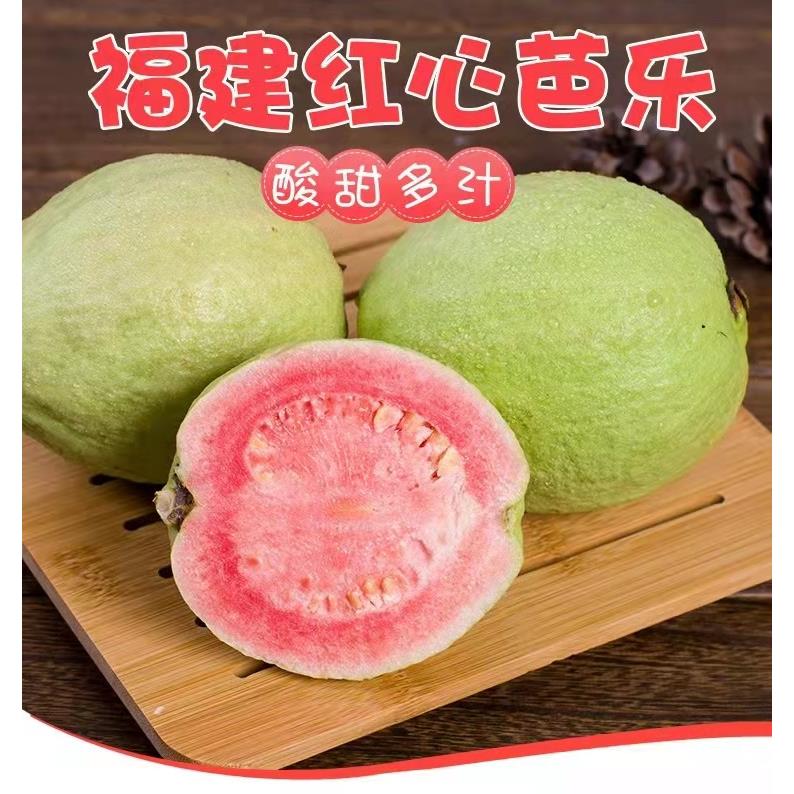红心芭乐番石榴奶油芭乐时令西瓜胭脂红现摘包邮软糯酸甜低糖低卡
