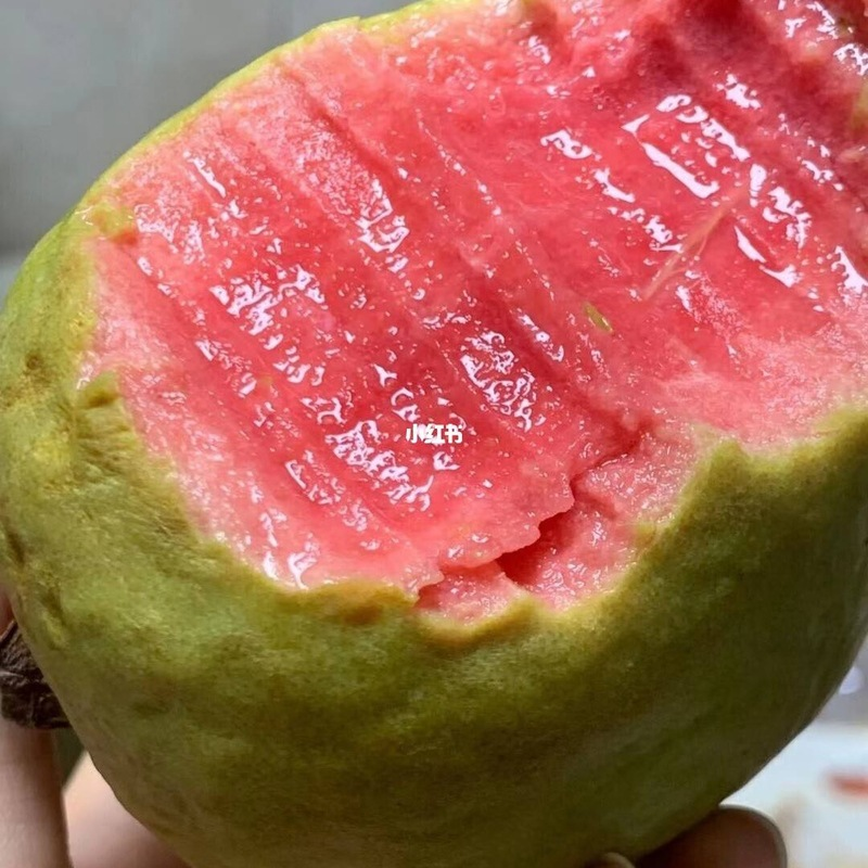 正宗草莓奶油软芭乐口感软糯西瓜红果园当天采摘酸甜口味产地直发