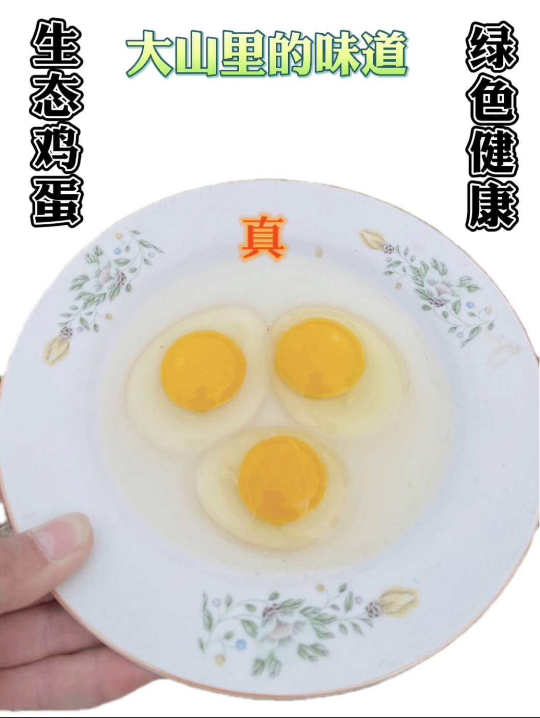 大山里的生态鸡蛋50枚 (顺丰包邮）  原生态无污染鸡蛋