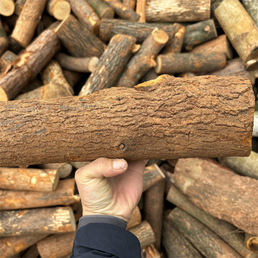 壁炉专用干木柴烧烤野炊露营篝火松硬果木柴火耐烧柴原木圆木木柴