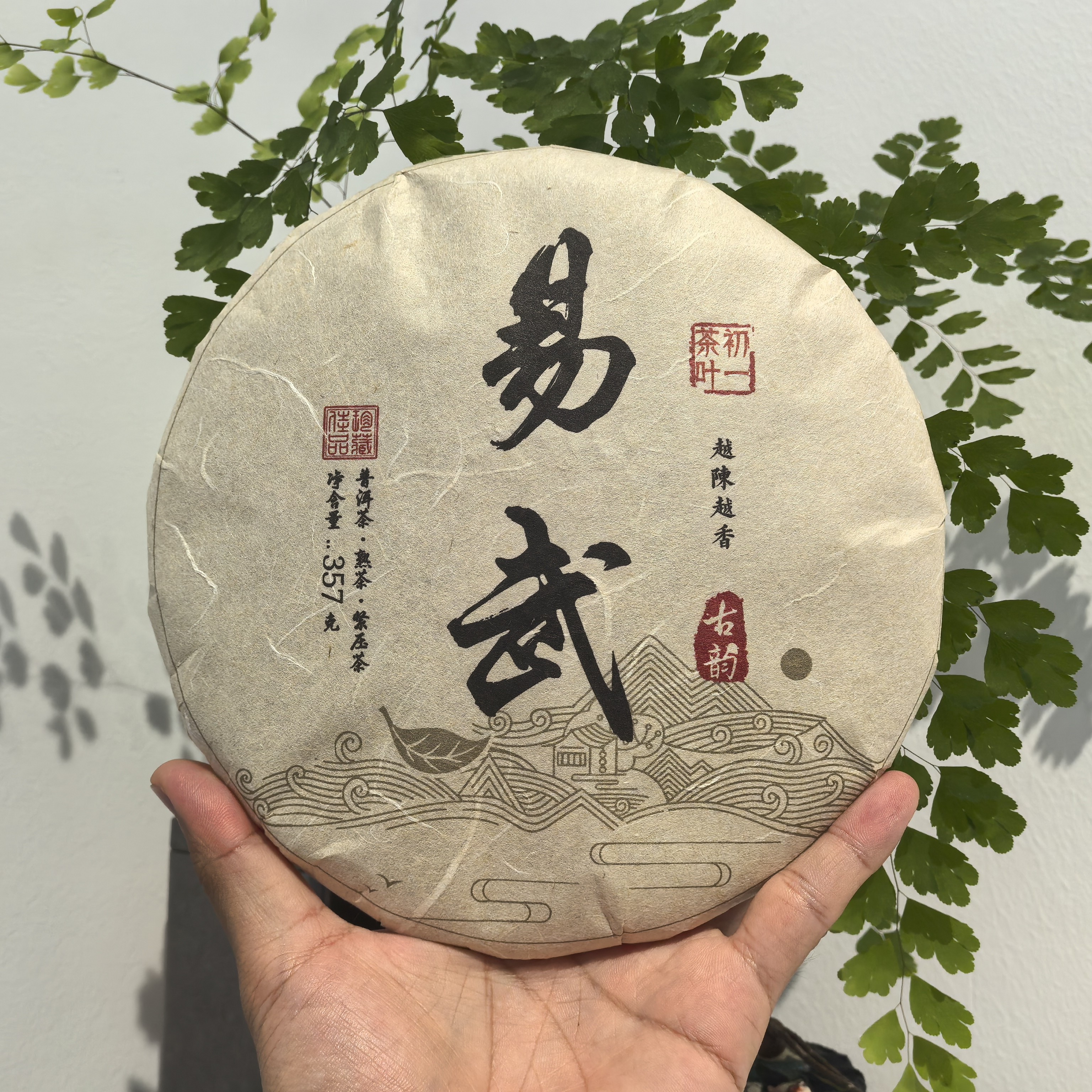 【初一的茶】易武熟茶357克包邮送品鉴试喝装