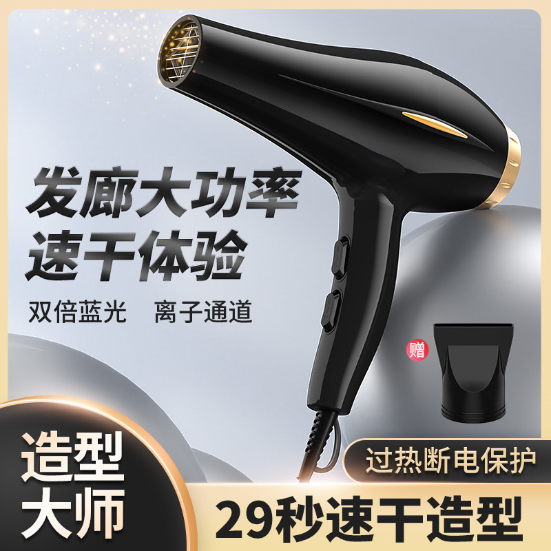 德国吹风机家用电吹风大风力速干强劲负离子护发养发发廊热风美发