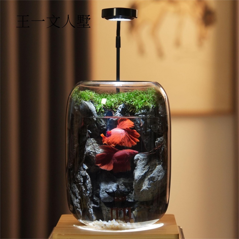 大鱼海棠纯手工艺术设计苔藓观赏微景观客厅优质百搭高硼硅摆件