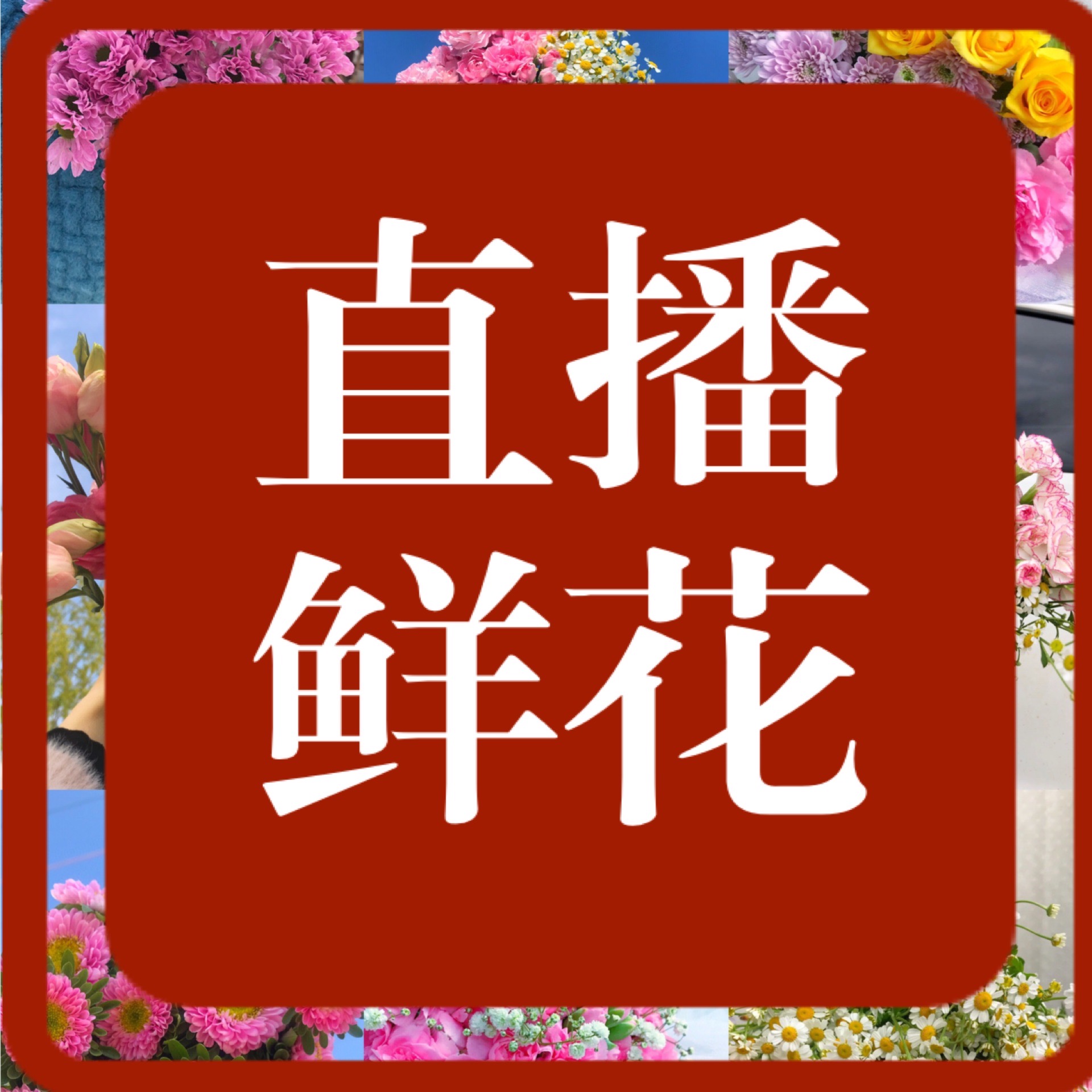 05107【鲜花组合】一物一拍 秒拍秒发 现场发货 浪漫七夕礼